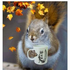 Meet your Posher, Valerie